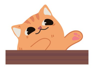 Şirin küçük kedi.