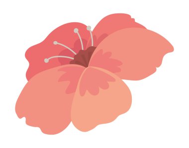 çiçek doğa simgesi