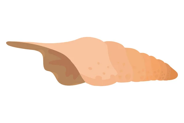 Θάλασσα σαλιγκάρι κέλυφος — Διανυσματικό Αρχείο