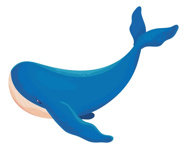 クジラの海の生活 — ストックベクタ