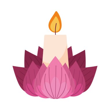 nilüfer çiçeğindeki mum