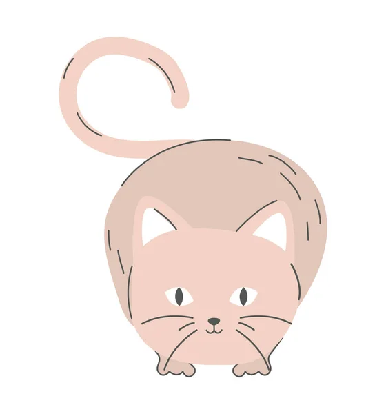 猫ベクトル アイコン — ストックベクタ