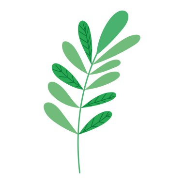 yaprakları doğa simgesi