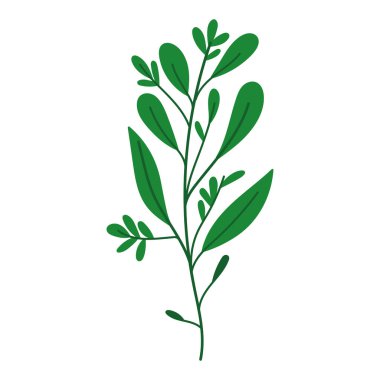 Dallar doğayı terkeder