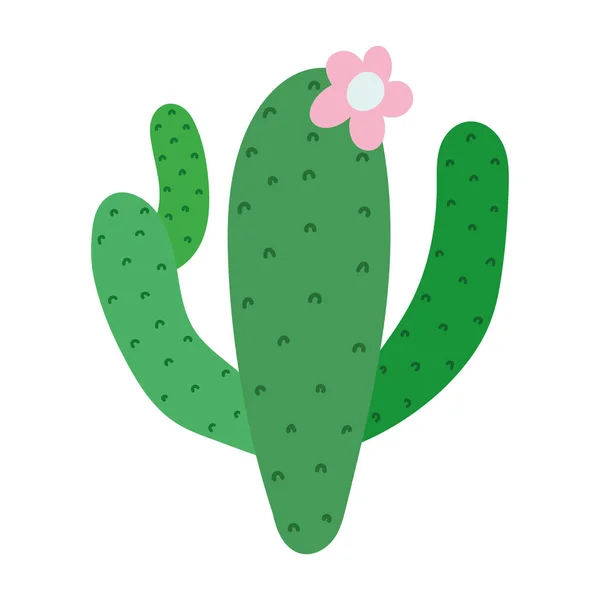 Kaktusy z kwiatem — Wektor stockowy