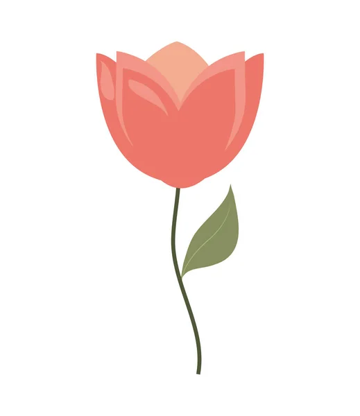 Цветочный тюльпан — стоковый вектор