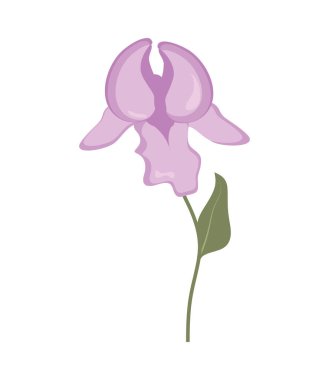 çiçek orkidesi doğası