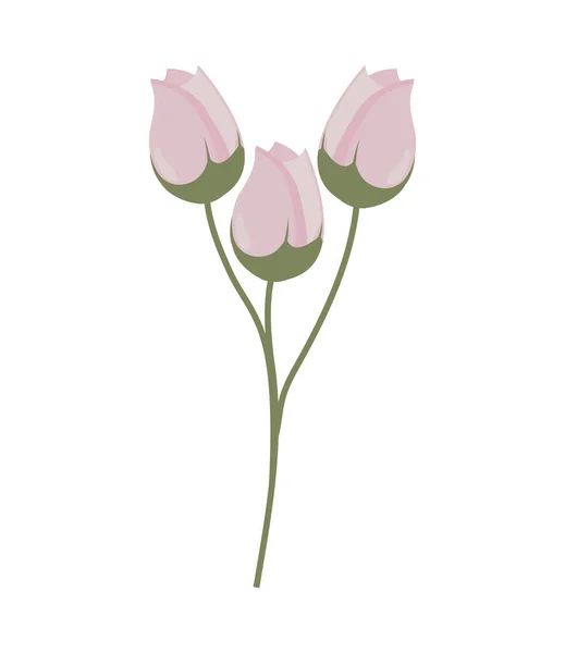 Bunch flowers icon — Vetor de Stock