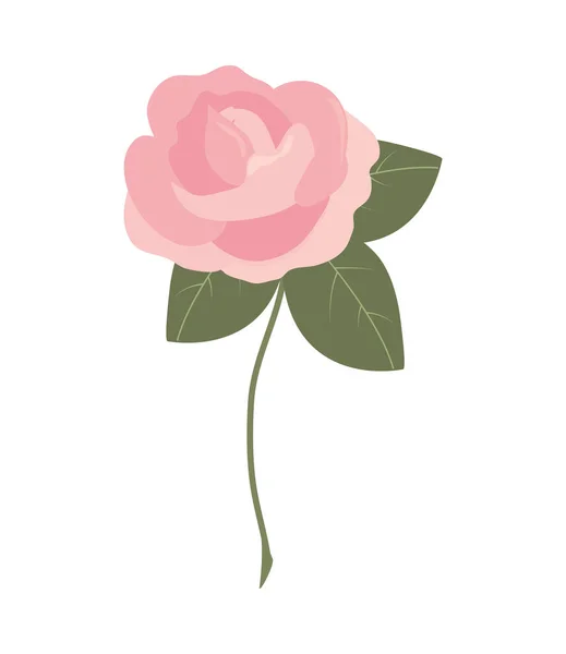 Flor rosa naturaleza — Vector de stock