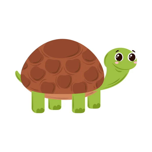 Söt sköldpadda ikon — Stock vektor