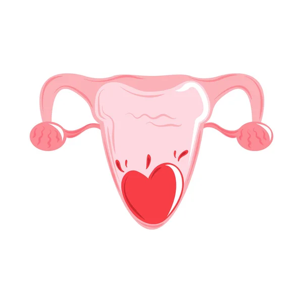 Período menstrual útero —  Vetores de Stock