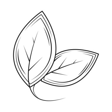 Yaprak doğası organik simgesi