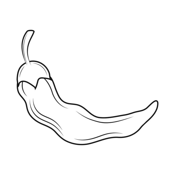 Chili pepper sketch icon — Stock Vector