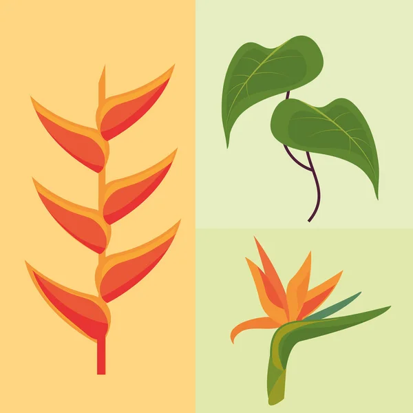 Тропические цветы и листья — стоковый вектор