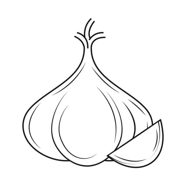 Icono de boceto de ajo — Vector de stock