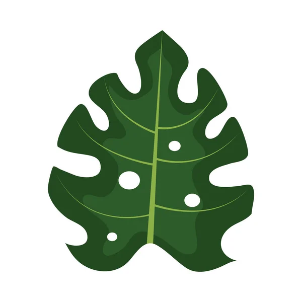 Τροπικά φύλλα monstera — Διανυσματικό Αρχείο