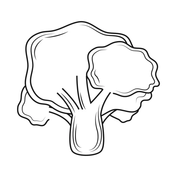 Icône croquis brocoli — Image vectorielle