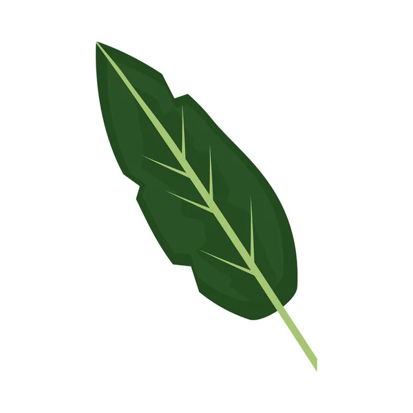 Tropical natural leaf — Vector de stock