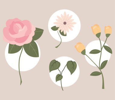 Şirin çiçekler doğa