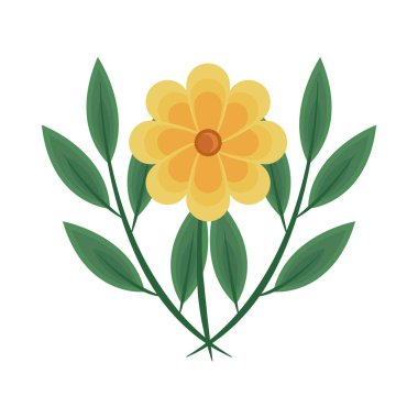 çiçek ve yapraklar