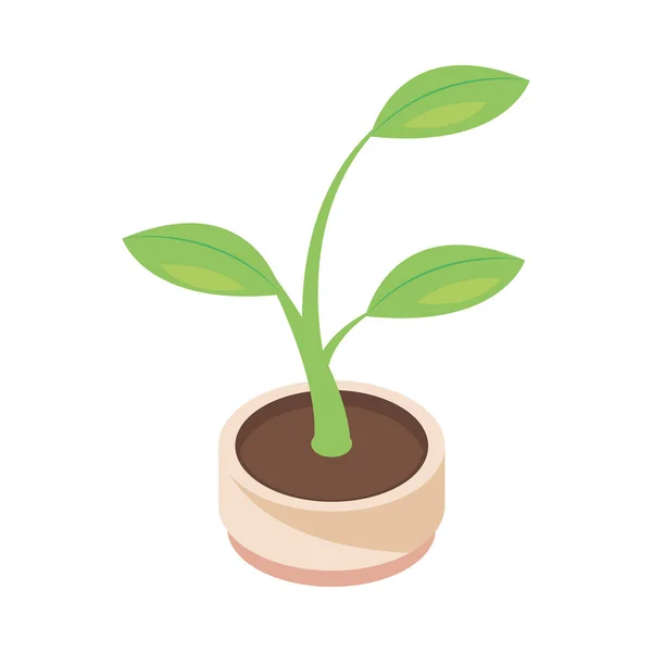 Planta em vaso natureza — Vetor de Stock