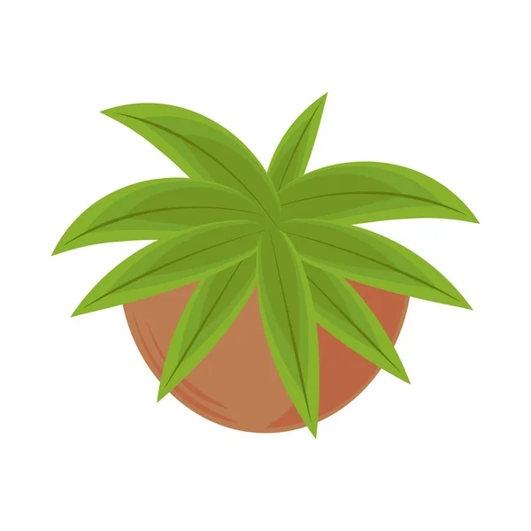 Natural plant in pot icon — Vetor de Stock