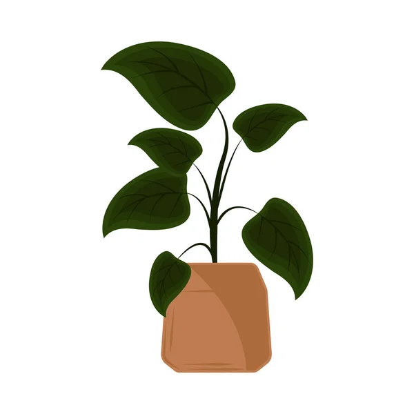 Plant leaves in pot icon — Stock vektor