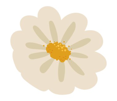 narin çiçek simgesi