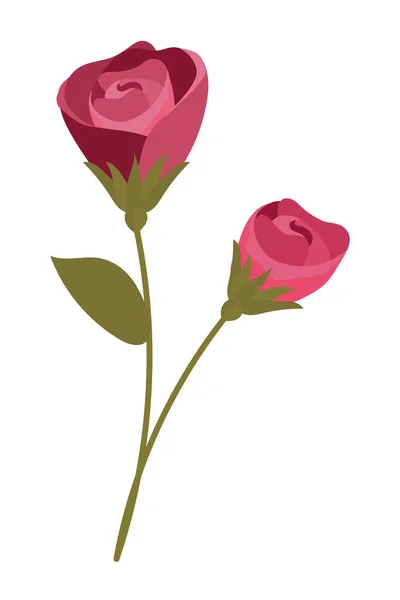 Flores y hojas — Vector de stock