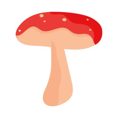 Mantar doğa simgesi izole vektörü