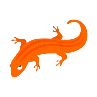 Kertenkele amfibi hayvan izole ikonu