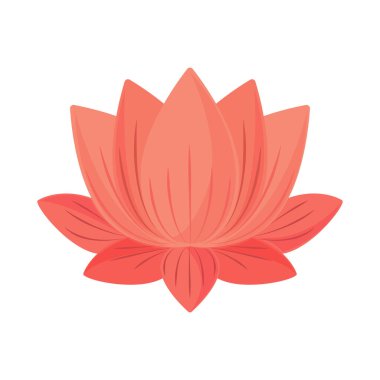 Nilüfer çiçeği simgesi izole edilmiş
