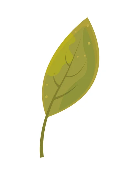 Icono Hoja Verde Vector Aislado — Vector de stock