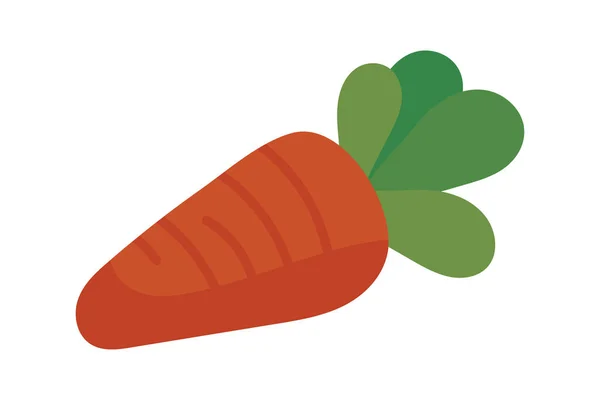 Carrot Vegetable Icon Flat Isolated — Stock Vector