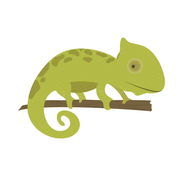 chameleon reptile animal isolated icon