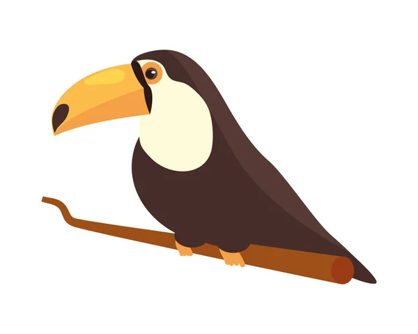 Toucan Branch Icon Isolated Vector — Stock Vector