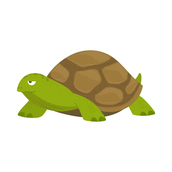 Havssköldpadda Reptil Djur Ikon — Stock vektor