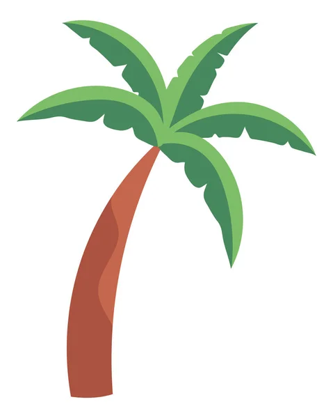 Tropisk Palm Ikon Isolerad — Stock vektor
