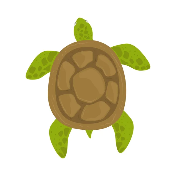 Schildkröte Reptil Tier Isoliert Symbol — Stockvektor