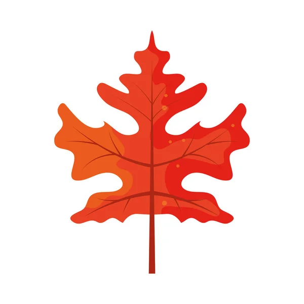 Podzimní Listí Ikona Izolovaný Vektor — Stockový vektor