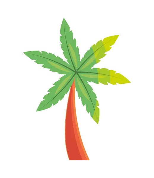 Tropische Palme Symbol Isolierten Vektor — Stockvektor