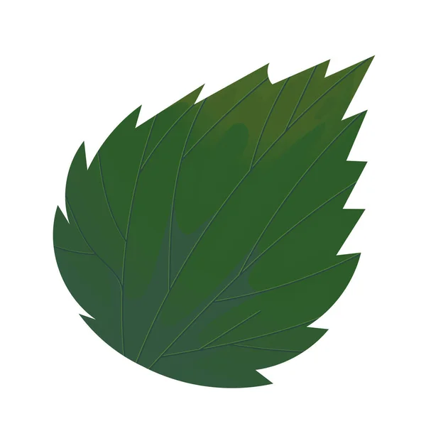 Πράσινο Φύλλωμα Φύλλων Μεμονωμένο Εικονίδιο — Διανυσματικό Αρχείο