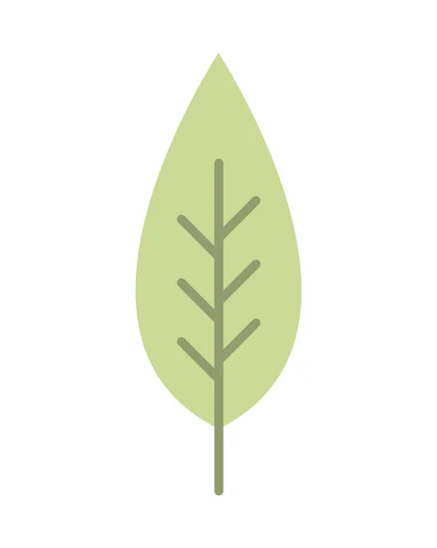 叶子自然图标孤立的白色背景 — 图库矢量图片
