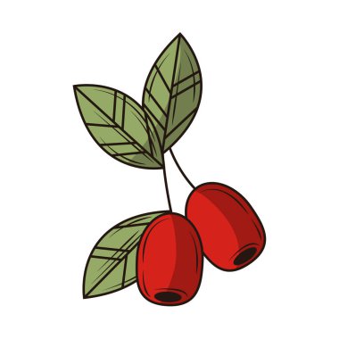 kahve taneleri ve yaprak simgesi izole edildi