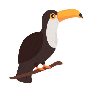 Dal simgesindeki tukan izole edildi