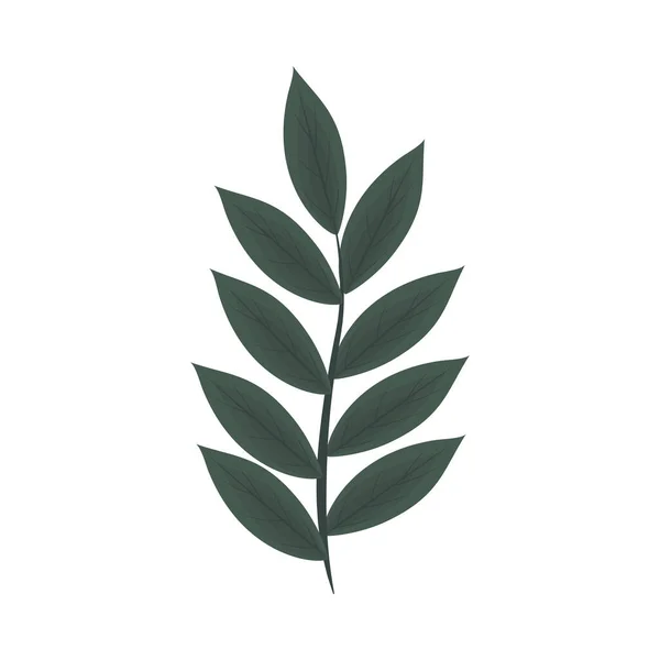 Природа Листвы Ботаническая Икона — стоковый вектор