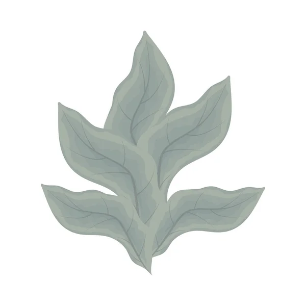 Leaves Foliage Nature Botanical Icon — Stock vektor