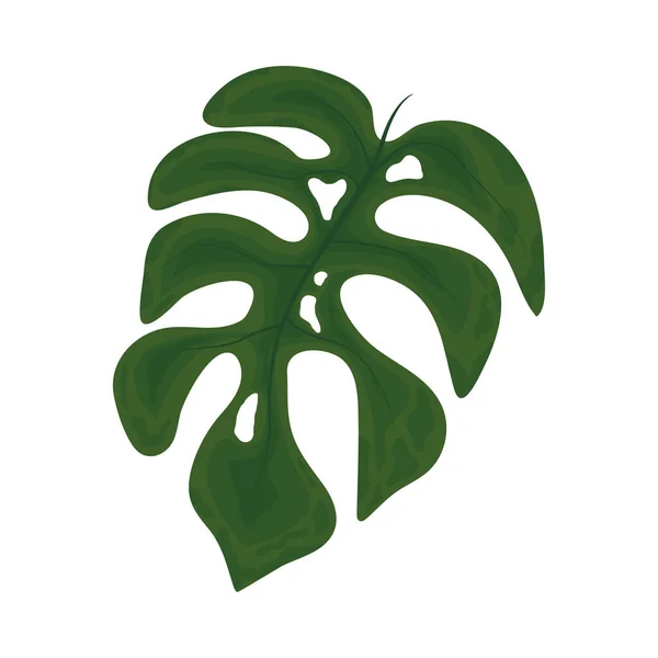 熱帯の葉の性質と植物のアイコン — ストックベクタ