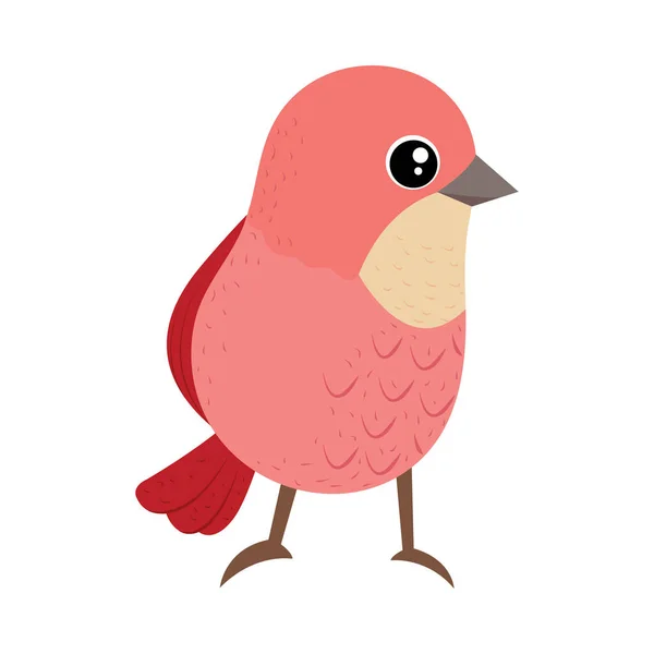 Cute Pink Bird Icon Isolated — Stock vektor