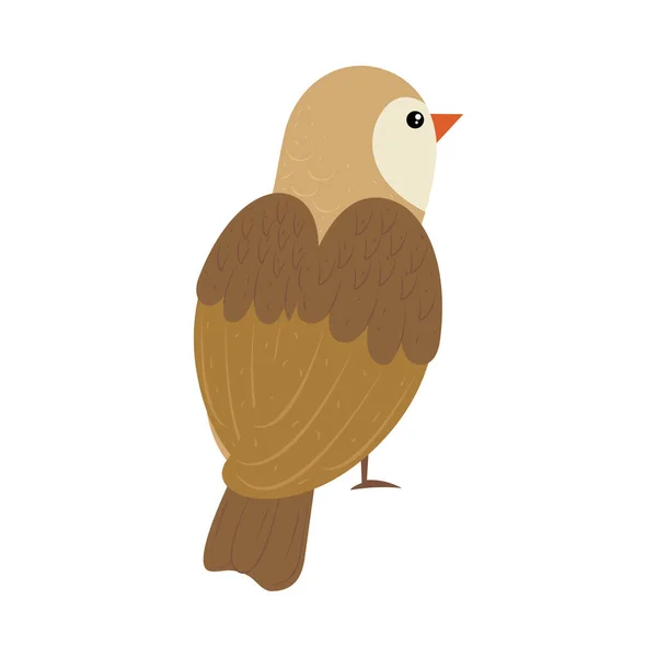 鸟类扁平图标白色背景 — 图库矢量图片